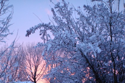 snow covered